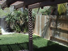 oceanside rental home, back patio right view
